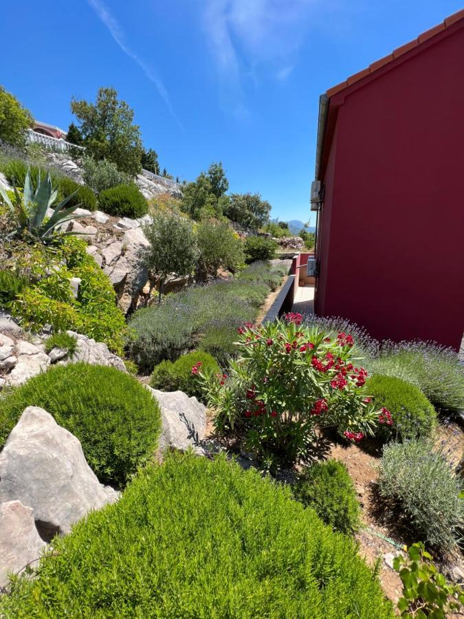 Apartments Angela سيساريكا المظهر الخارجي الصورة