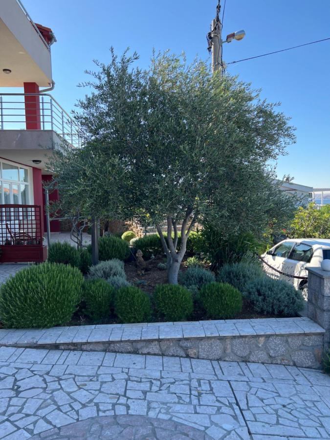 Apartments Angela سيساريكا المظهر الخارجي الصورة